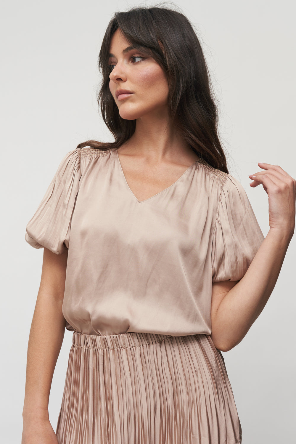 The Serene Pleated Sleeve Blouse